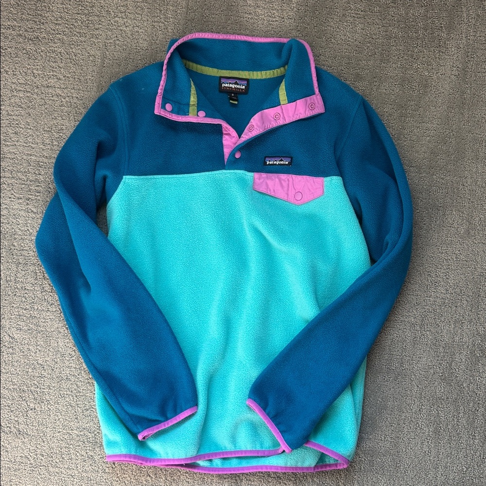 Patagonia Blue and Pink Fleece Jacket